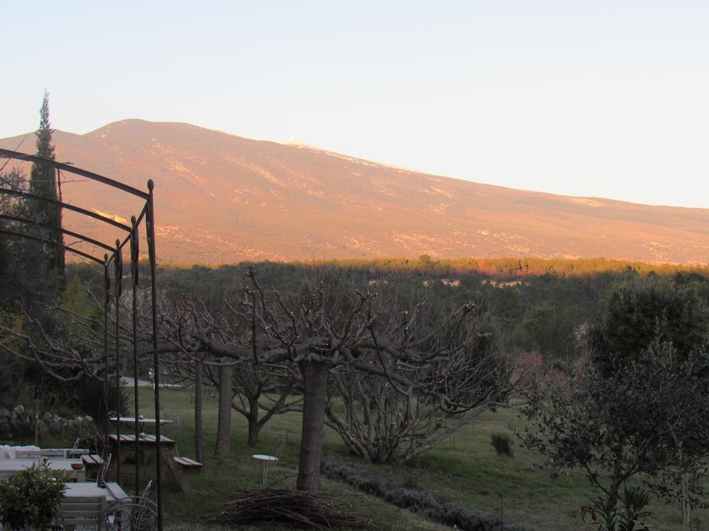 קריון-לה-בראב Residence De Gites La Sidoine Du Mont-Ventoux מראה חיצוני תמונה