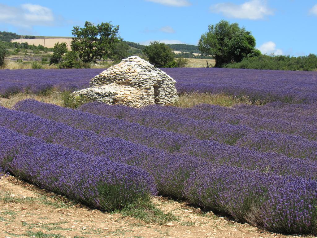 קריון-לה-בראב Residence De Gites La Sidoine Du Mont-Ventoux מראה חיצוני תמונה